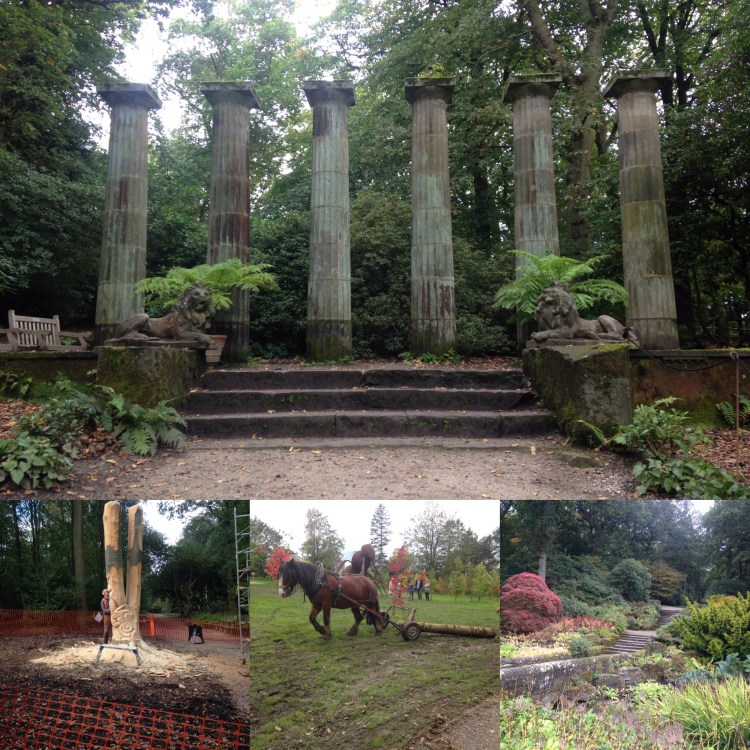 2FC858F2-9797-4F5C-B0B3-0C4F01C6F77E