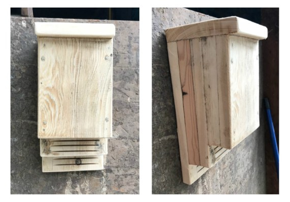 Bat Boxes
