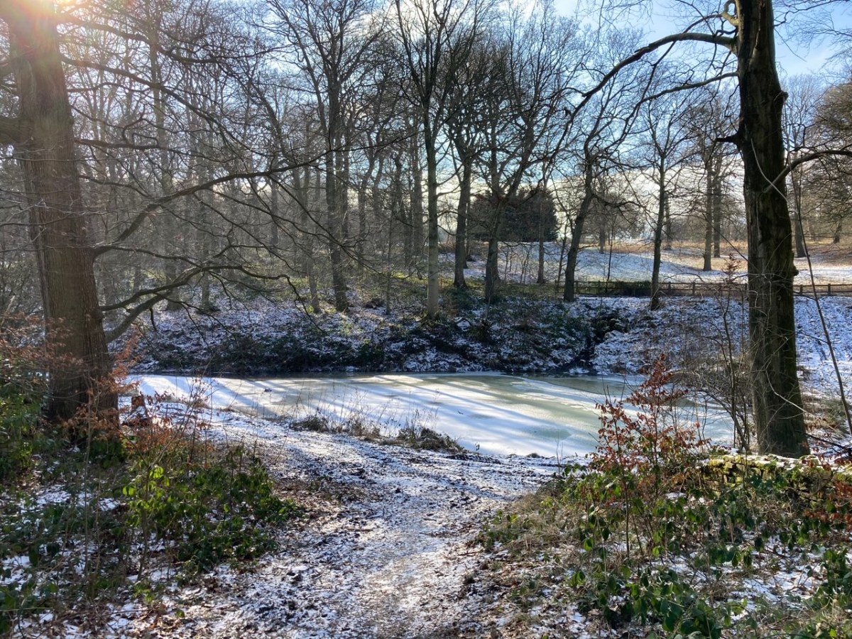 New Beginnings… again… and&nbsp;again!!